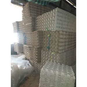 ถาดใส่ไข่กระดาษแบบพรีเมี่ยมสำหรับธุรกิจและครอบครัว - Product Image 6