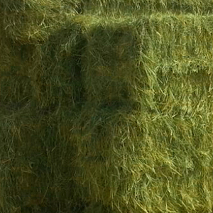 หญ้าแห้ง2024ใหม่สำหรับให้อาหารสัตว์บำรุง - Product Image 4