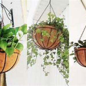 Ensemble de paniers suspendus respectueux de l'environnement | Doublures de jardinière en coco personnalisables - Product Image 6