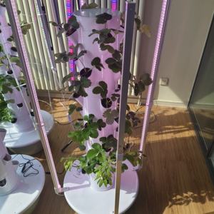 딸기를위한 <span class=keywords><strong>5</strong></span>-9 층 수직 수경 시스템 | 가정 및 상업 사용을위한 LED 성장 라이트 타워 정원 - Product Image 5