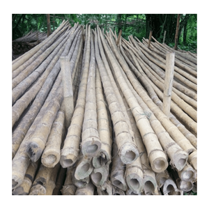 Pôles en bambou écologiques disponibles en différentes tailles pour l'exportation, adaptés à de multiples utilisations - Product Image 1