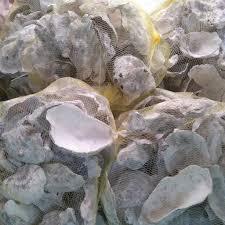Eco-Friendly Oyster Shell for Organic Fertilizer and <b>Soil</b> Conditioner - Product Image 4