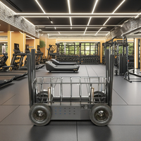 Trineo de Ejercicio Cardiovascular Comercial para Gimnasio con Resistencia Magnética, Máquina de Ejercicio de Empuje y Tracción de Acero