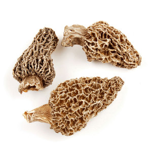 Hongo Morchella Seco, Conservar en un Lugar Fresco y Seco, Cuerpo Fructífero Cultivado, Marrón Negro, Ángulo de Visión - Product Image 1