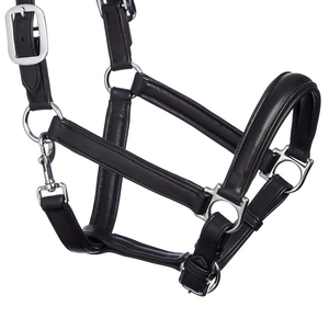 Haltères pour chevaux avec logo personnalisé, en cuir souple et réglable, vente en gros de produits équestres, quincaillerie de connexion robuste - Product Image 2