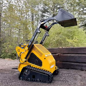 Minicargador barato CE EURO5 EPA, minicargador de orugas de rueda diésel con motor EPA, minicargador de oruga para todo terreno, envío gratuito - Product Image 1