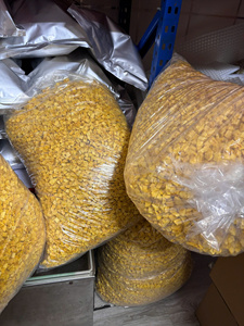 Tranches de mangue lyophilisées de qualité export |   Cubes de mangue pur |   Sans sucre ajouté |   Fournisseur direct du fabricant - Product Image 5