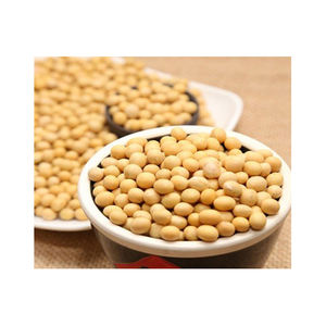 Soja en vrac non OGM du Brésil 10,6 kg à vendre - Product Image 2