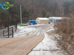 Eco-Friendly PALM <b>MAT</b> 1mx10mx35mm in Vietnam's Finest for Landscape Construction Erosion Control and Soil Protection - Product Image 4