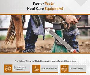 Agarre ergonómico, herramienta de herrador de extracción de zapata curva, construcción de acero forjado resistente para extracción de herraduras y cuidado de pezuñas - Product Image 5