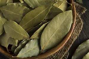 ETIQUETA LIMPIA HOJAS DE BAY SECAS PARA TÉ DE HIERBAS Y SABORIZANTE NATURAL - Product Image 6