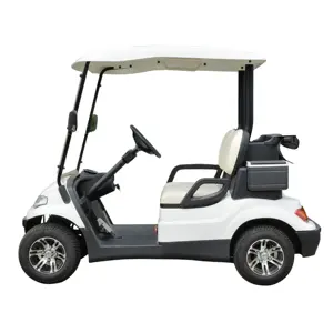Wholesale new Generation electric golf cart 4 wheel 2 seater high speed 48KM/h thickened seats golf cart for wholesale