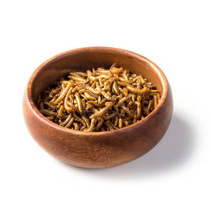 Top - Grade Natural Eco-friendly Dried Mealworms for Animal Food Pet Food - Product Image 1