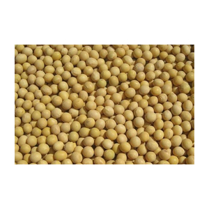 Grains de soja biologiques non-OGM en vrac avec certificats d'inspection - Product Image 5