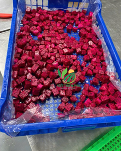 Vente en gros de fruits du dragon rouge surgelés de qualité supérieure-fabricant VIET THIEN PHU du Vietnam-emballage en vrac-fournisseur réel de fruits surgelés - Product Image 1