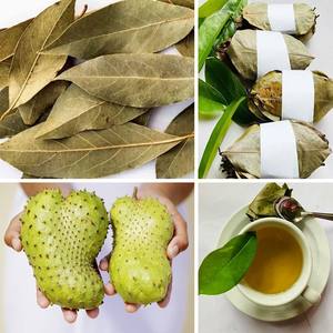 Fabricant de feuilles de corossol séchées pour le marché mondial - Product Image 6