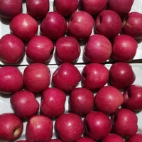 Pommes rouges Fuji de haute qualité disponibles en gros Commandez dès maintenant pour des pommes fraîches et sucrées à des prix compétitifs