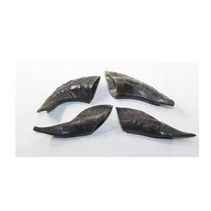 Bocina de OAT para perro, andicrafts para perro HEW y el más vendido - Product Image 2