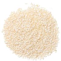 Graines de sésame blanches de qualité supérieure d'approvisionnement d'usine 100% sésame blanc naturel pour l'exportation