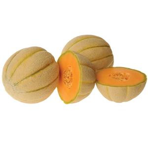 Premium Class I <b>Fresh</b> Cantaloupe <b>Melons</b> - High Brix Sweetness - Bulk Export Grade Musk <b>Melons</b> - Product Image 1