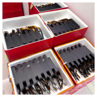 FLYCDI Layar LCD Ponsel Terbaru Incell Oled untuk iPhone XR XS 11 12 13 14 15 16 Pro Max 17