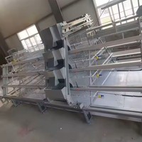 Construction Vente Automatique Industrielle Cage à Poules Pondeuses Géante Portable à Faible Coût pour Poulets de Chair