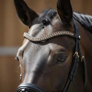 Banda de cejas de caballo de cuero con diamantes de imitación de cristal de lujo para bridas ecuestres - Product Image 6