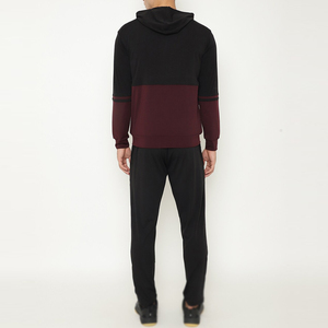 Couleur personnalisée hommes survêtement coupe ajustée à capuche et pantalon de jogging ensemble coton polyester tissu sportswear OEM ODM bas quantité minimale de commande - Product Image 3