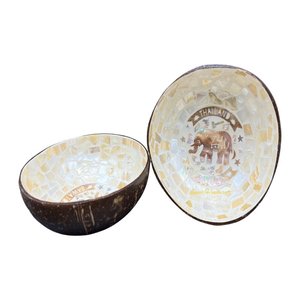 Nuevos cuencos de coco lacados de primera calidad Estilo único y diseño colorido para exportación a granel - Product Image 1