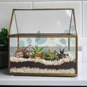 Décoration de maison de luxe en métal noir et verre cabane forme plantes terrarium pour maison hôtel salon décoration de table utilisation - Product Image 4