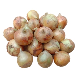 High Quality <strong>Onion</strong> Fresh 20kg Per Bag Fresh Red <strong>Onions</strong> From China Fresh <strong>Onions</strong> - Product Image 1