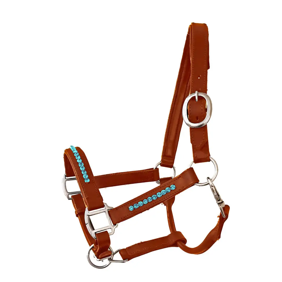 Pferdesport Halfter Bling Aqua Cognac Leder Hochwertiger Fabrik schaf druck Wettbewerbs fähiger Preis Horse Halfter smart