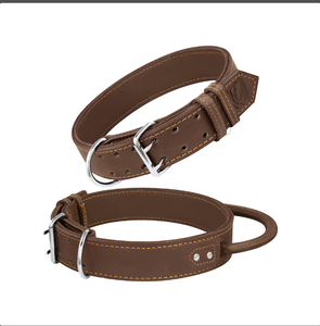 Collar de perro sabueso de cuero verde de alta calidad para galgo y Whippet - Product Image 2