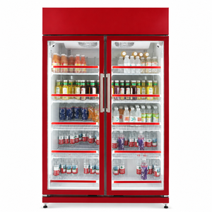Ouruoxi Commercial <strong>Display</strong> Refrigerator &amp; Freezer with LED Light High Quality <strong>Cubical</strong> Design 2-3 Doors for Hypermarket Use - Product Image 1