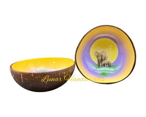 High Quality Eco-Friendly Plastic Lacquer Coconut <b>Bowl</b> Unique Mix Color Style Customized Reasonable Price Vietnam Supplier - Product Image 2
