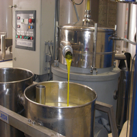 Crème pour les mains à l'huile d'olive extra vierge de 100 ml, de qualité supérieure, pour usage privé et supermarché, pour l'hôtellerie et les cadeaux
