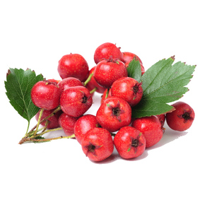 Tốt nhất táo gai chiết xuất 10:1 tươi táo gai trái cây Berry P. Chiết xuất bột - Product Image 3