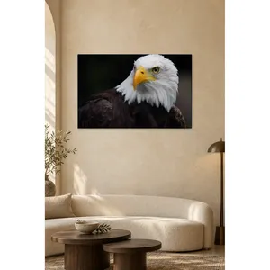 Portrait d'aigle chauve sur fond noir, impression sur toile - Product Image 1