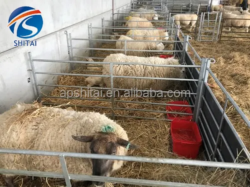 Obstacles portatifs de haute qualité galvanisés bétail chèvre mouton panneaux de clôture de cour clôture de moutons pour ferme classée