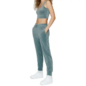 OEM vente en gros velours 100% coton sweats à capuche survêtements femmes grande taille 2 pièces ensemble automne hiver velours dames sac de vêtements de sport - Product Image 1