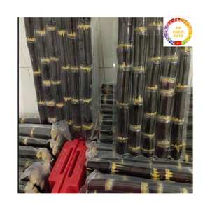 Bâtonnets de canne à sucre surgelés de qualité supérieure du Vietnam, conformes aux normes d'exportation, idéaux pour les expéditions longues distances et les fabricants de boissons internationaux - Product Image 5