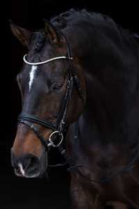 Bride Snaffle - Product Image 2