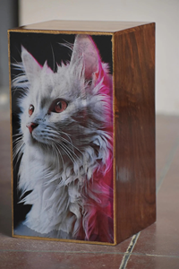 Urna de cremación para gatos con foto personalizada, recuerdo conmemorativo para mascotas, urnas de cremación para gatos y perros - Product Image 6