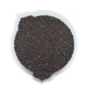 Suministro a granel de colza a precio de descuento de fábrica para importadores globales - Product Image 5