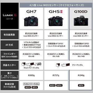 กล้องดิจิตอล DC-GH5M2 LUMIX 4K รุ่นเฉพาะตัวกล้อง (ไม่รวมเลนส์) รองรับการชาร์จผ่าน USB ราคาประหยัด กล้องมิเรอร์เลสพร้อมเซ็นเซอร์ HD และคุณสมบัติการถ่ายภาพ - Product Image 4