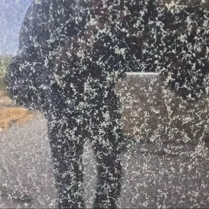 Losa pequeña de granito moderno pulido negro de Bengala para edificio de oficinas - Product Image 1