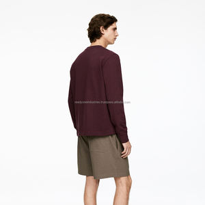 Sweat à capuche homme 100% coton surdimensionné à manches longues Style Streetwear Anti-boulochage respirant lavé brodé - Product Image 2