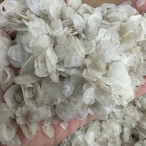 เกล็ดปลาแห้งแบบพรีเมี่ยมปลากะพงขาวธรรมชาติและเกล็ดปลานิลคอลลาเจนสูงผลิตจากเวียดนาม