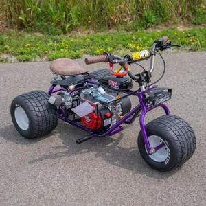 Mini Triciclo TGV Edición Especial Purple Haze 2024 - Edición Limitada, Scooter de 3 Ruedas, Acero, Ruedas de 24 Pulgadas, Diseño Elegante, Conducción Suave - Product Image 4