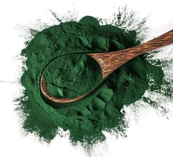 Ekstrak Alfalfa Pigmento Unicity Super Chlorophyll Alfalfa ekstrak Organica Chlorophyll Powder